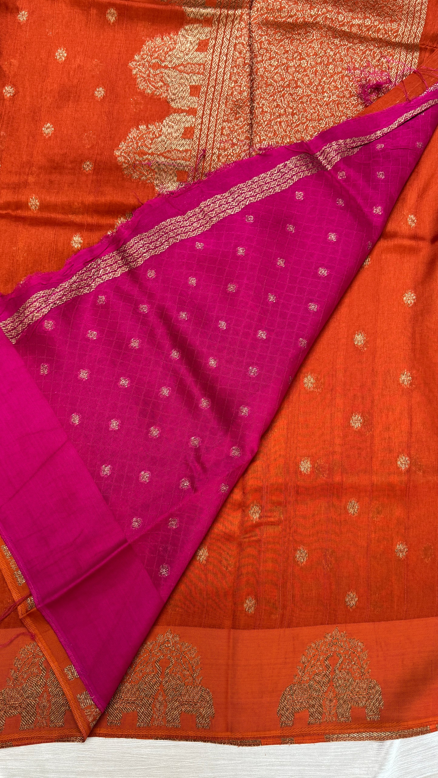 Tussar Georgette Saree with Motifs Embellished Border
