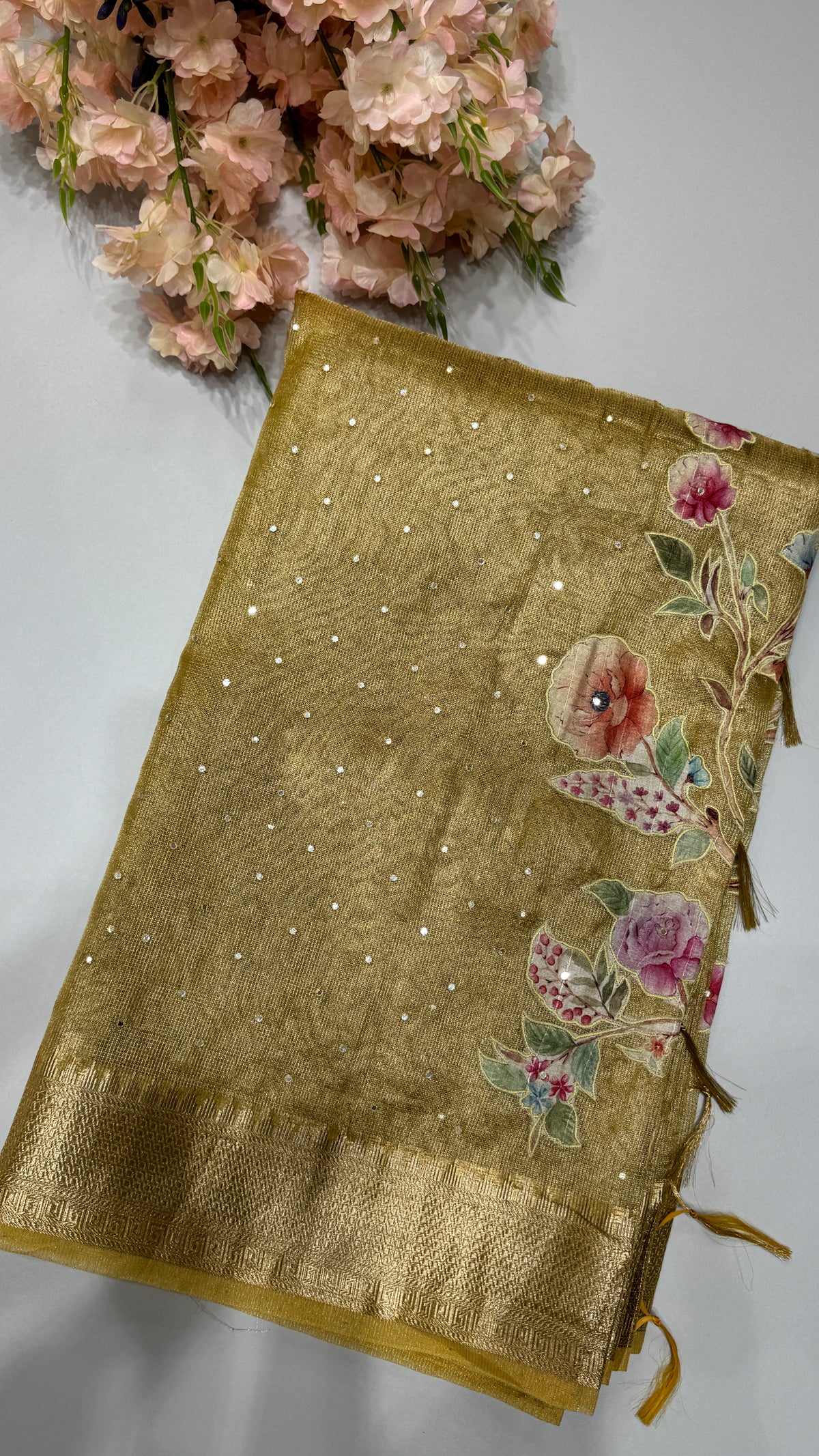 Tissue Silk Saree with Applique Work
