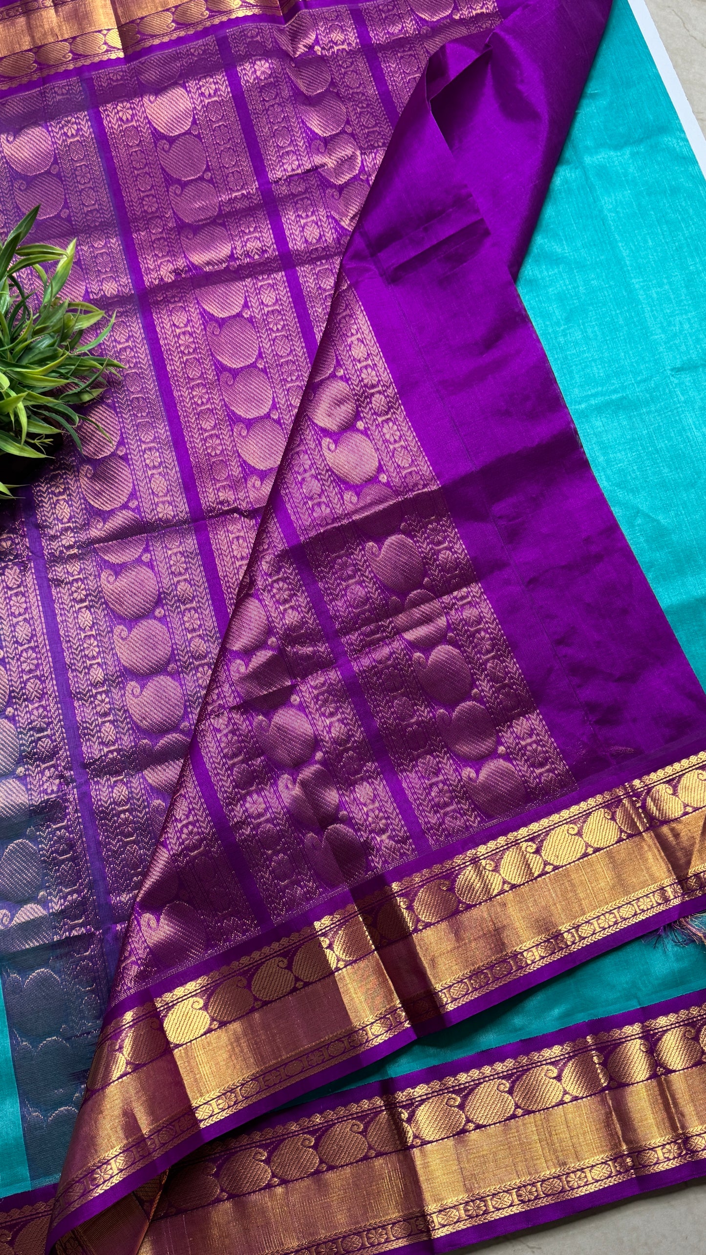 Plain Pure Silk Cotton Saree with Korvai Border