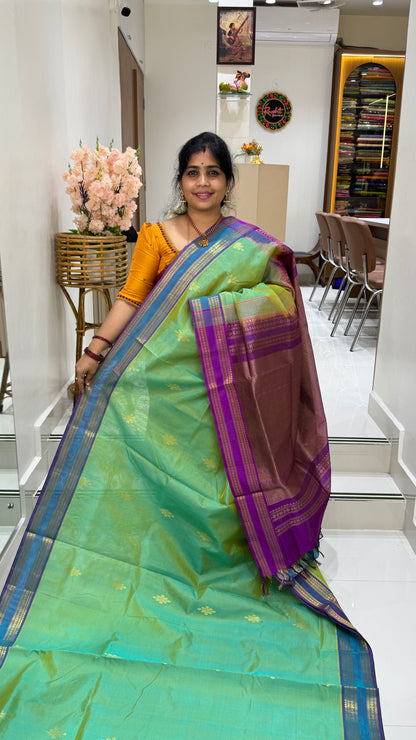 Kolam Pure handloom Silk cotton saree