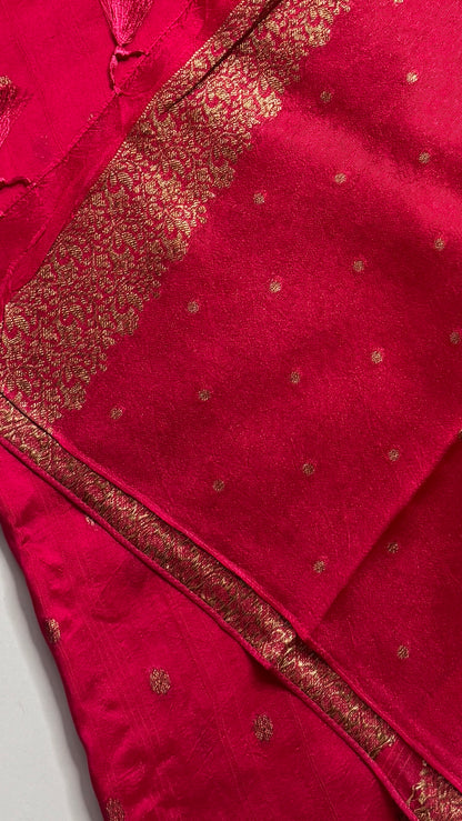 Tussar Georgette Saree with Motifs Border