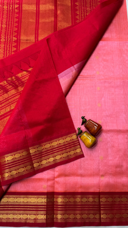 Pure Silk Cotton Saree