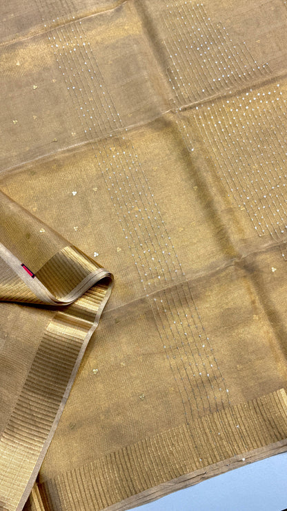 Tissue Silk Saree with Sequins work