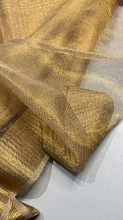 Tissue Silk Saree with Sequins work