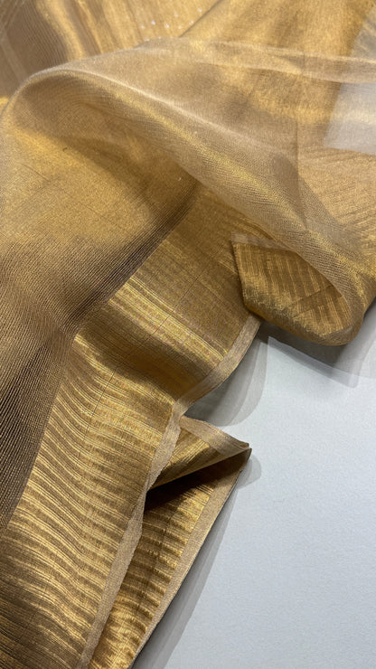 Tissue Silk Saree with Sequins work