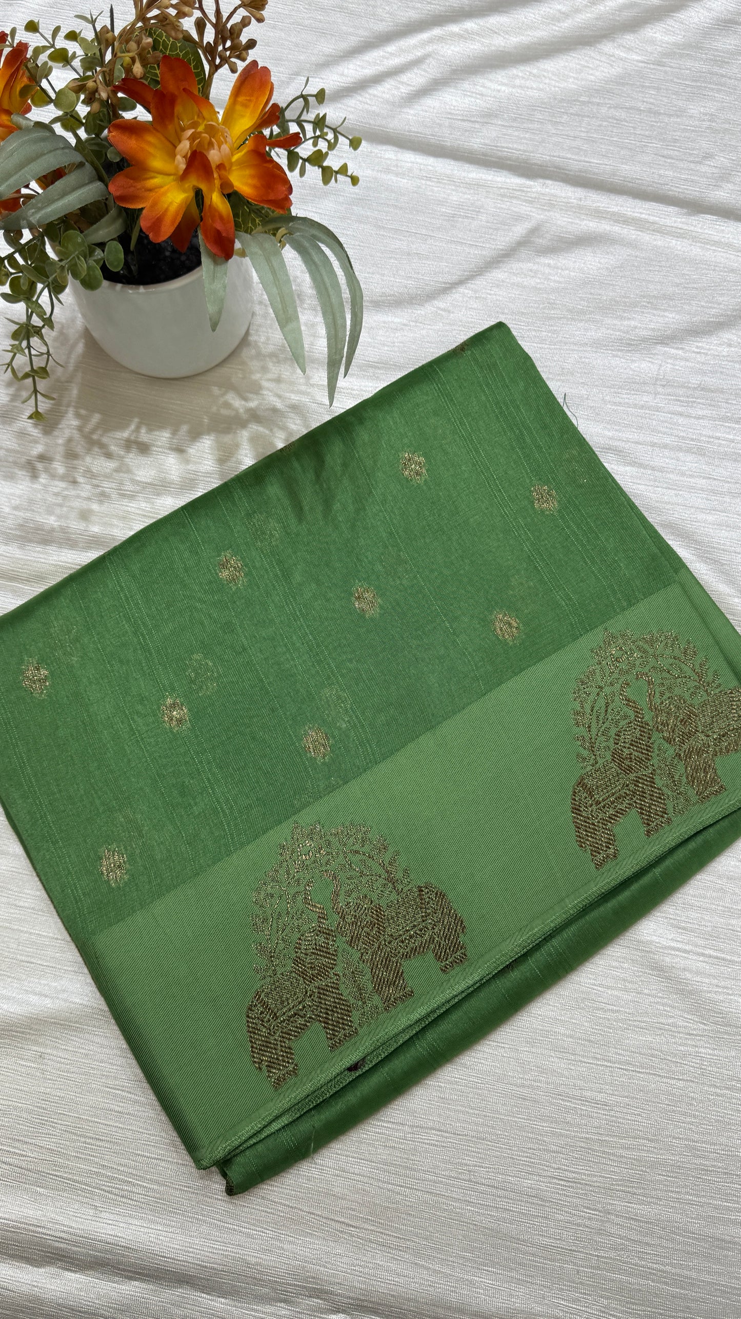 Tussar Georgette Saree with Motifs Embellished Border