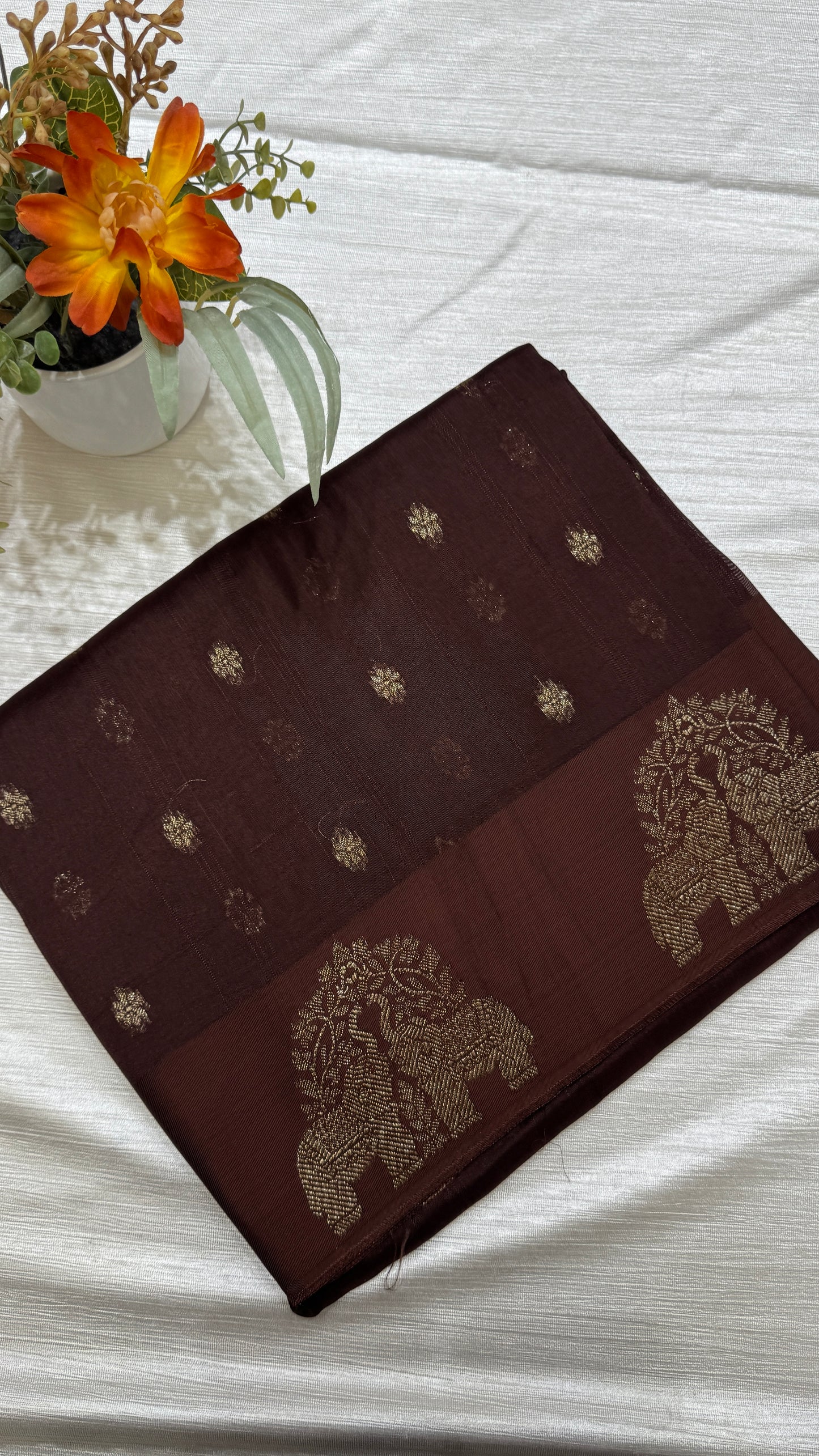 Tussar Georgette Saree with Motifs Embellished Border