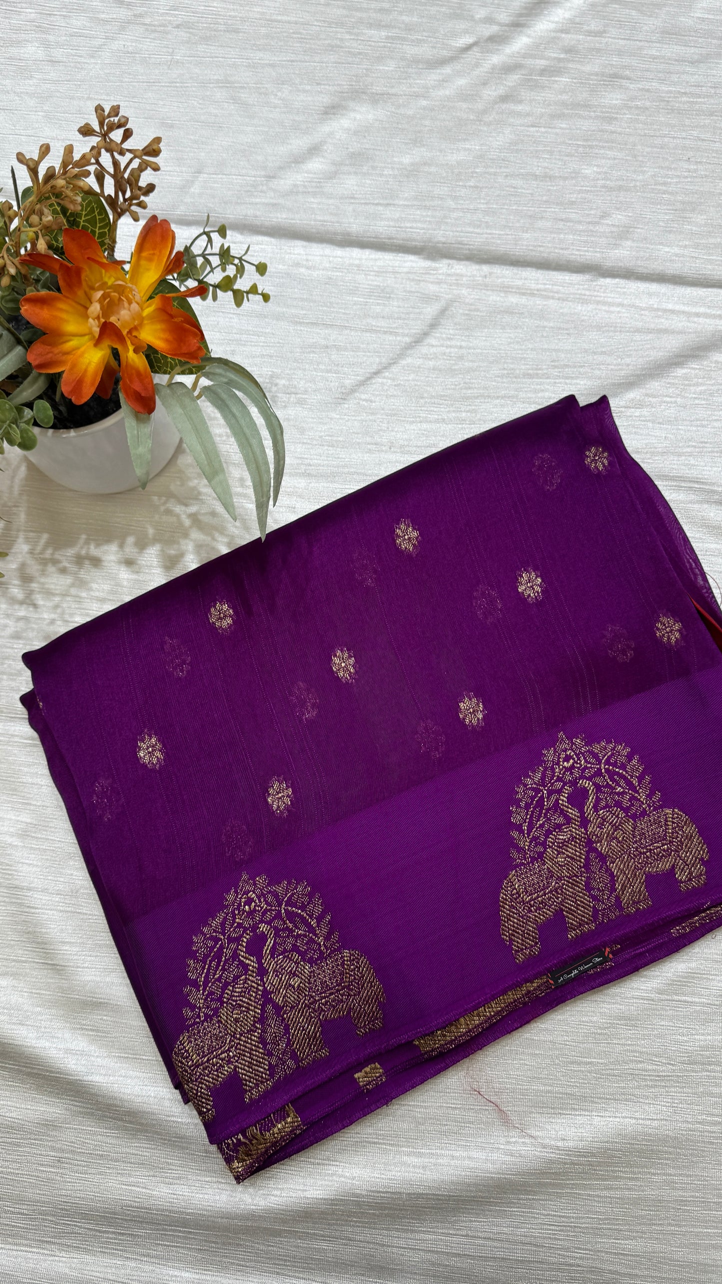 Tussar Georgette Saree with Motifs Embellished Border