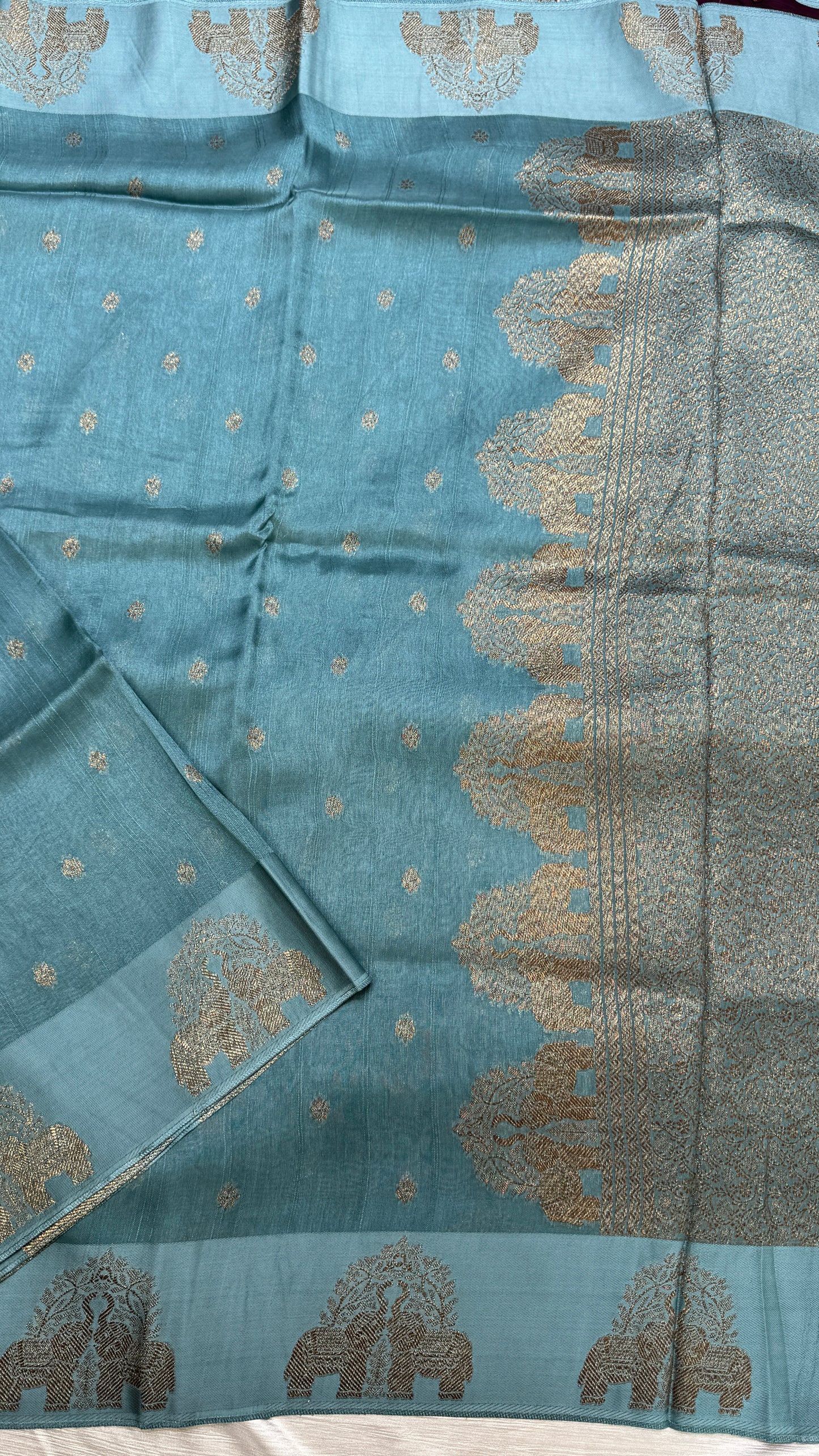 Tussar Georgette Saree with Motifs Embellished Border