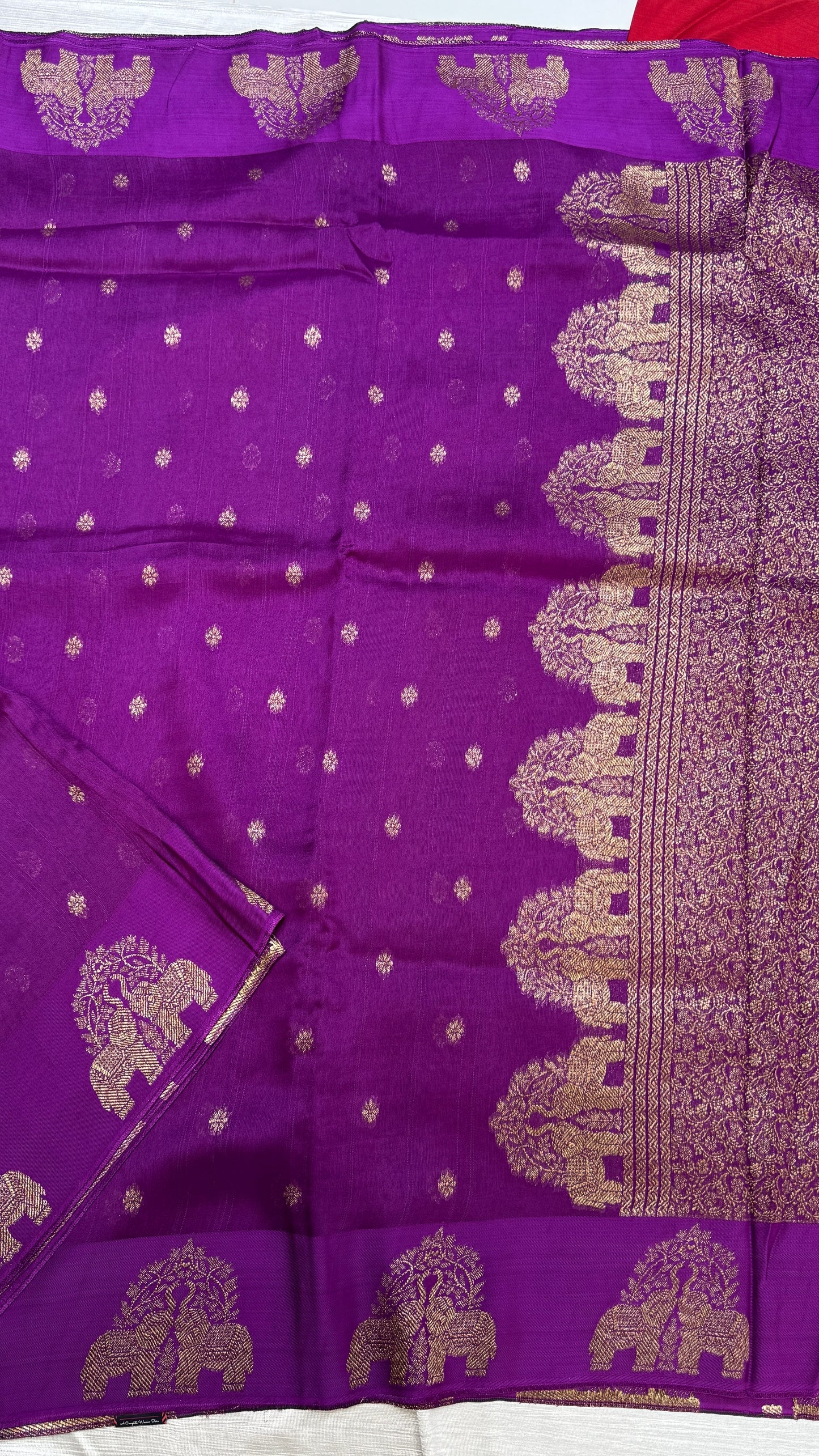 Tussar Georgette Saree with Motifs Embellished Border