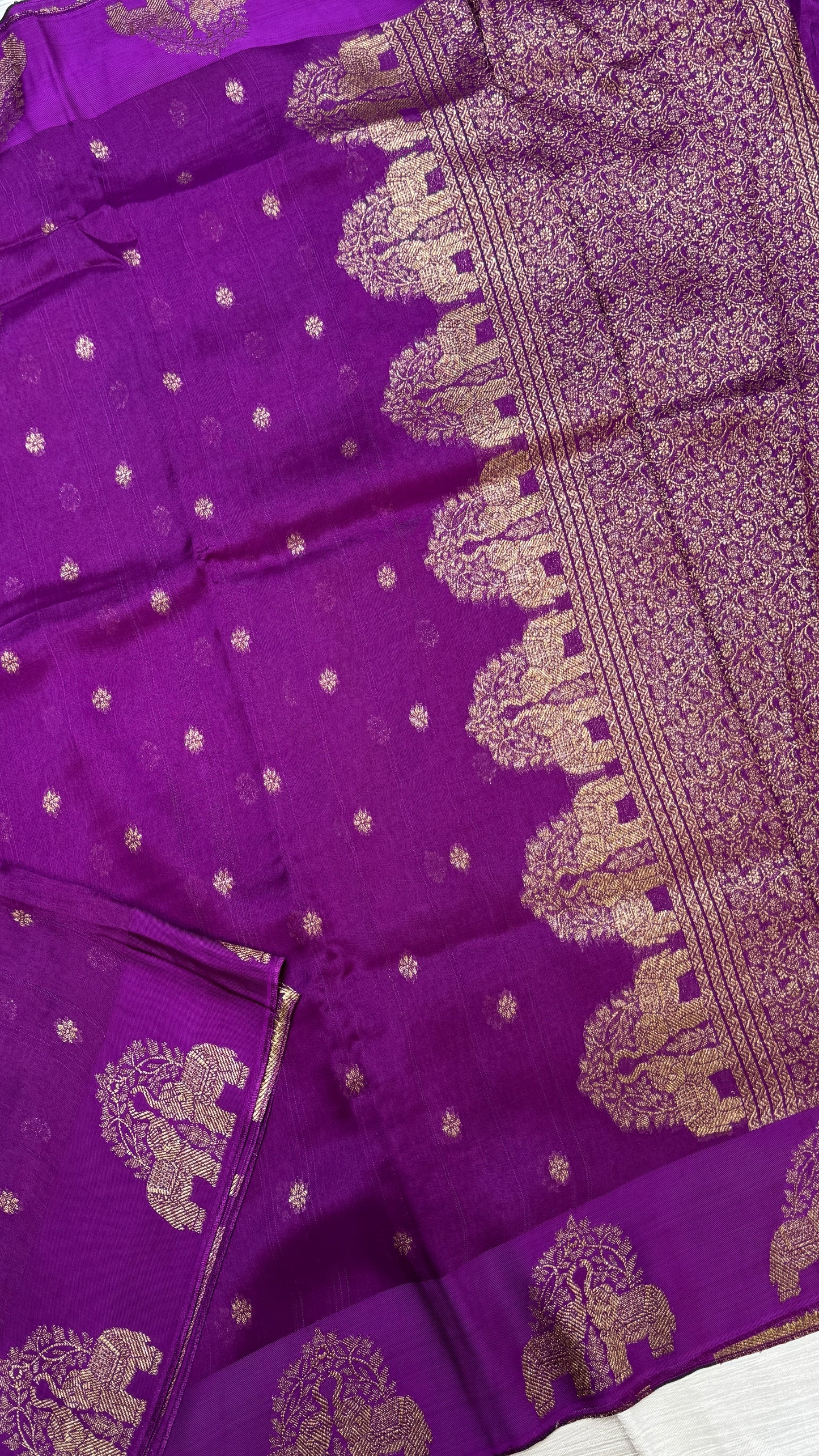 Tussar Georgette Saree with Motifs Embellished Border