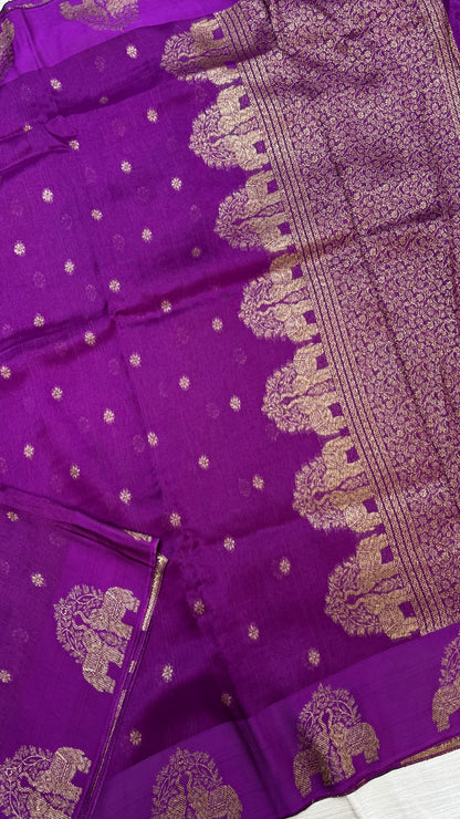 Tussar Georgette Saree with Motifs Embellished Border