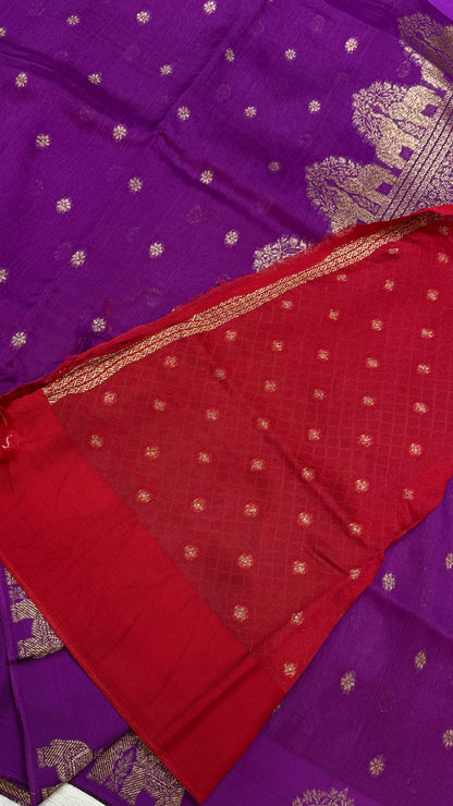 Tussar Georgette Saree with Motifs Embellished Border
