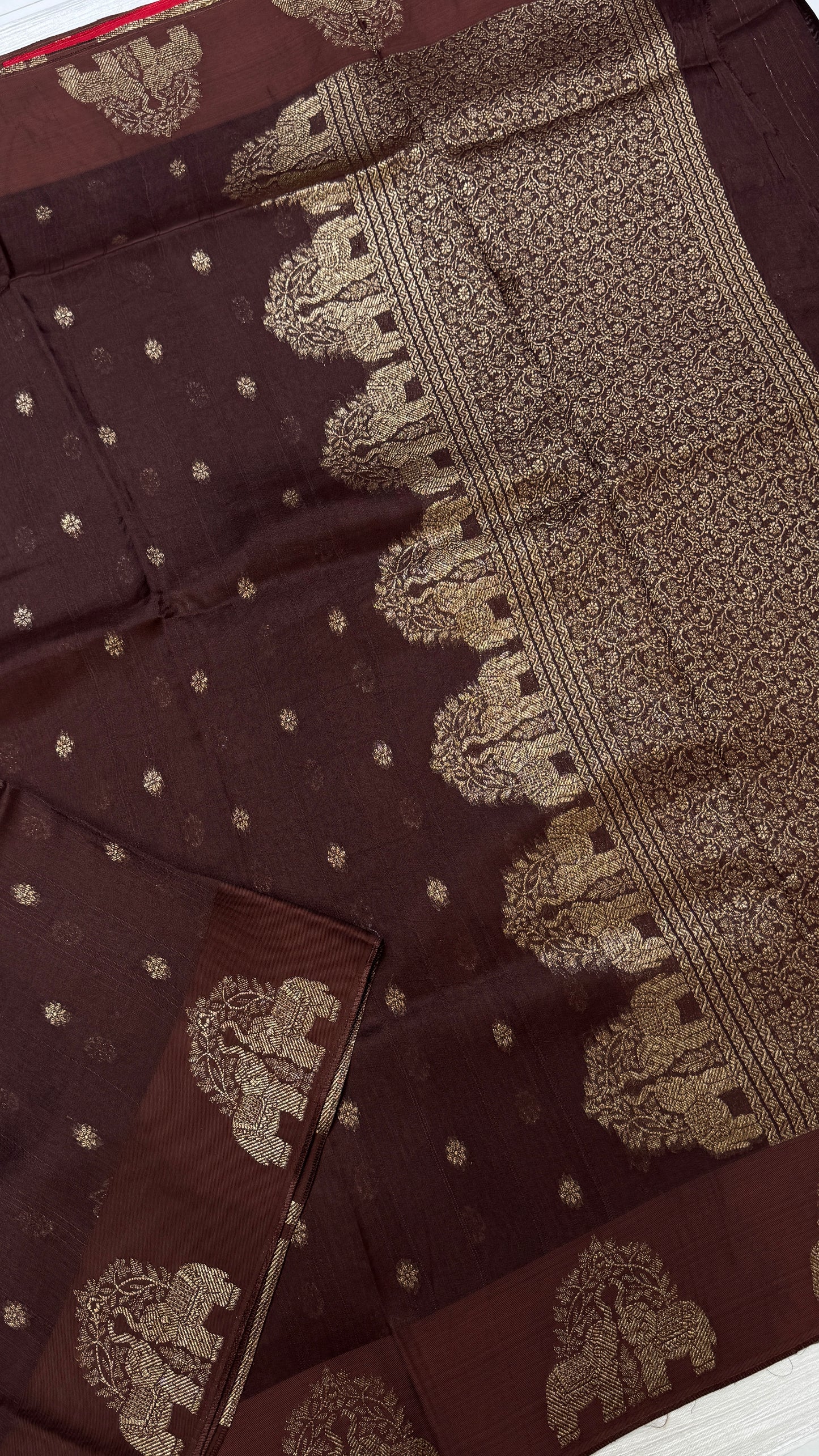 Tussar Georgette Saree with Motifs Embellished Border