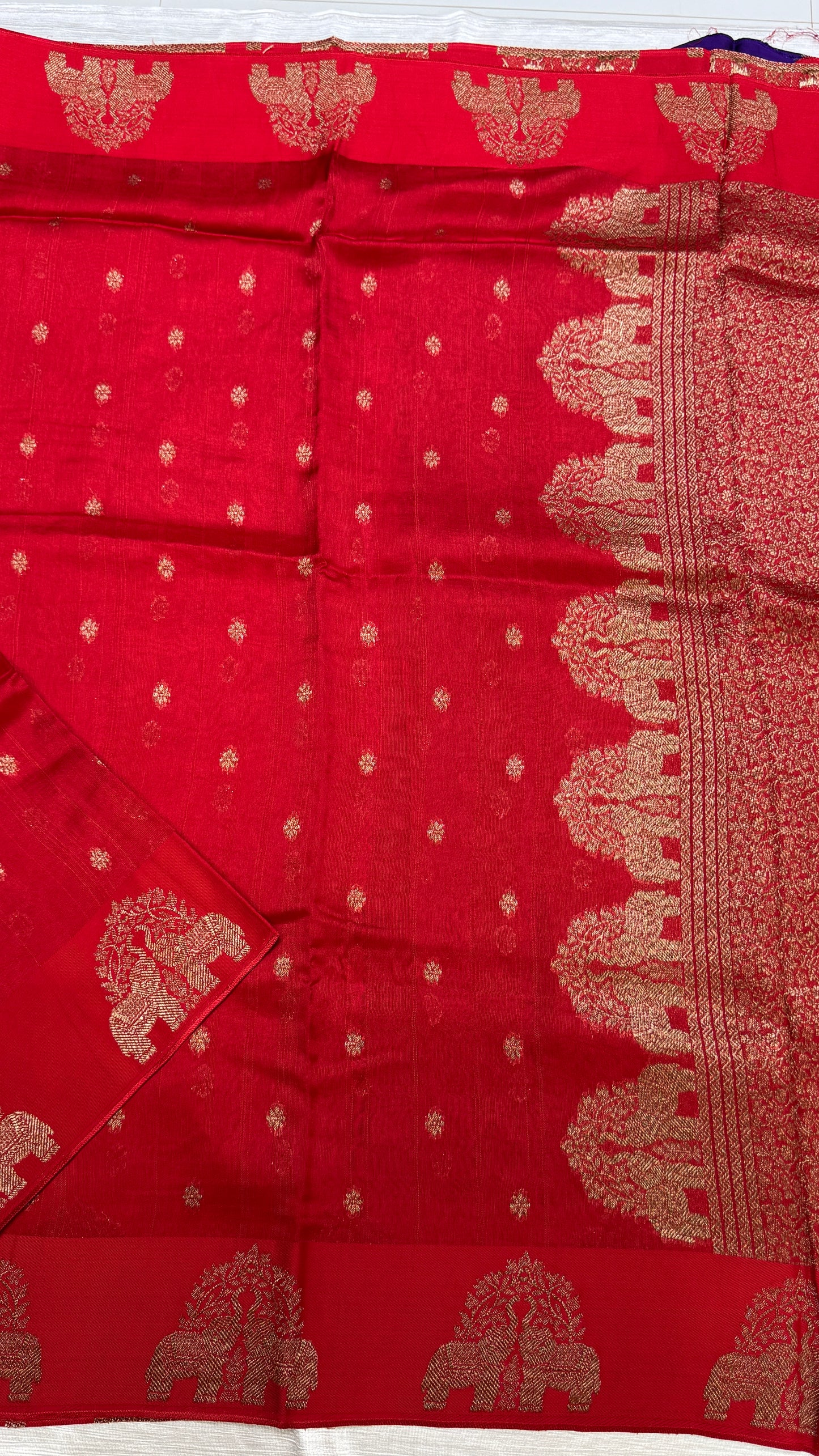 Tussar Georgette Saree with Motifs Embellished Border