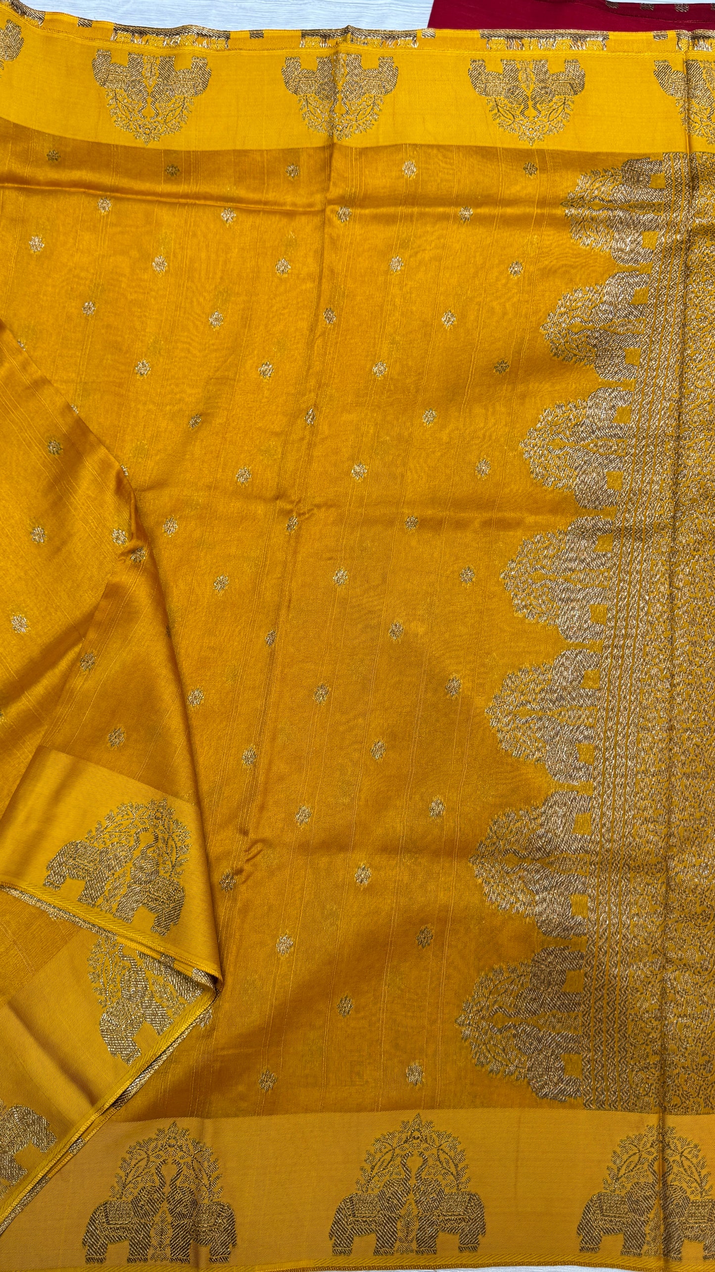 Tussar Georgette Saree with Motifs Embellished Border