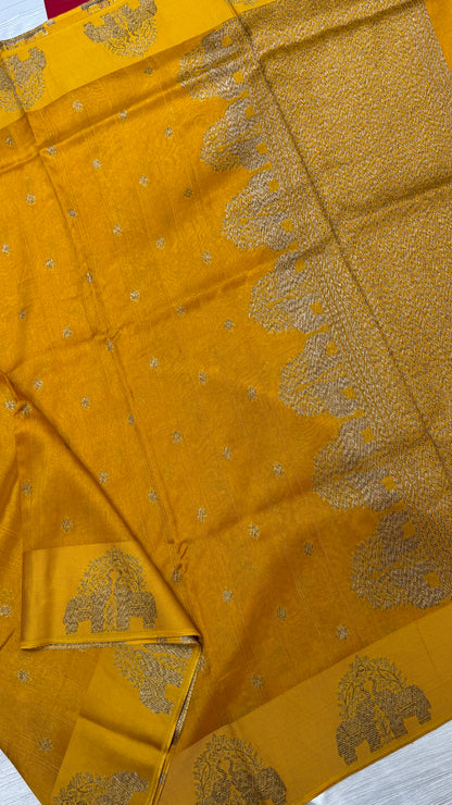 Tussar Georgette Saree with Motifs Embellished Border