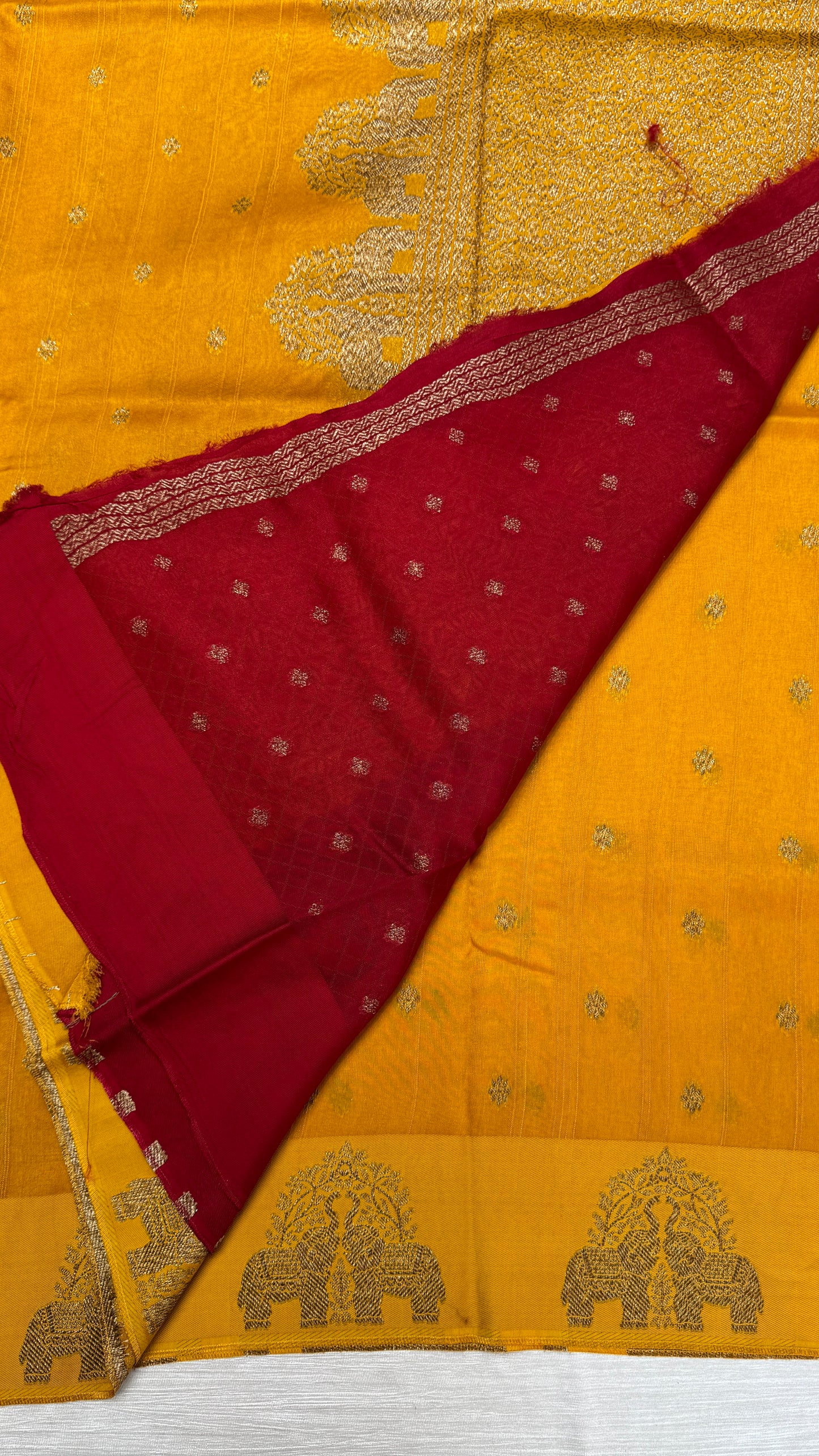 Tussar Georgette Saree with Motifs Embellished Border