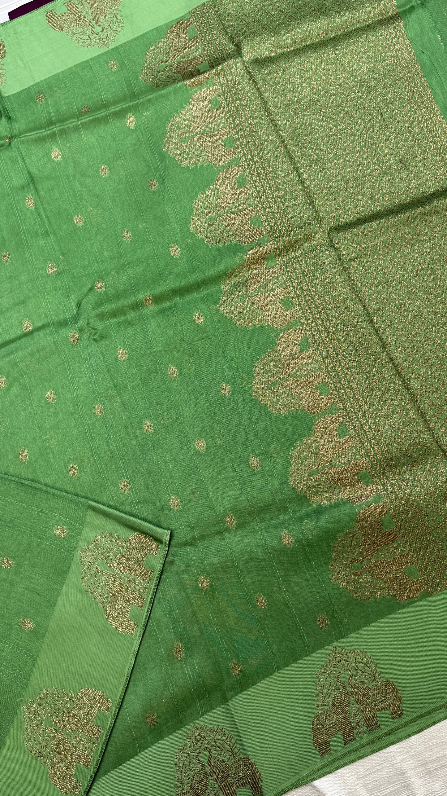 Tussar Georgette Saree with Motifs Embellished Border