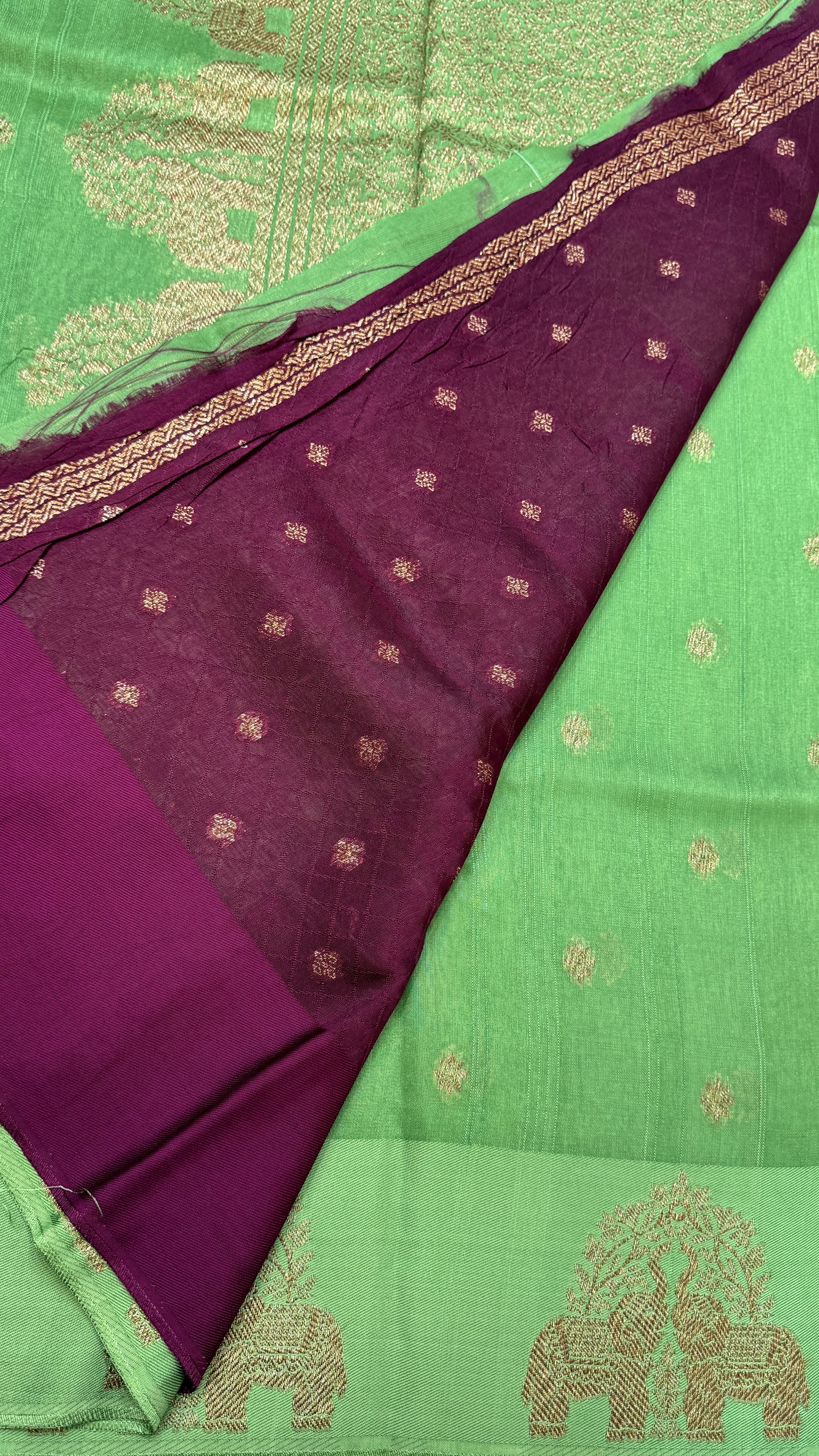 Tussar Georgette Saree with Motifs Embellished Border