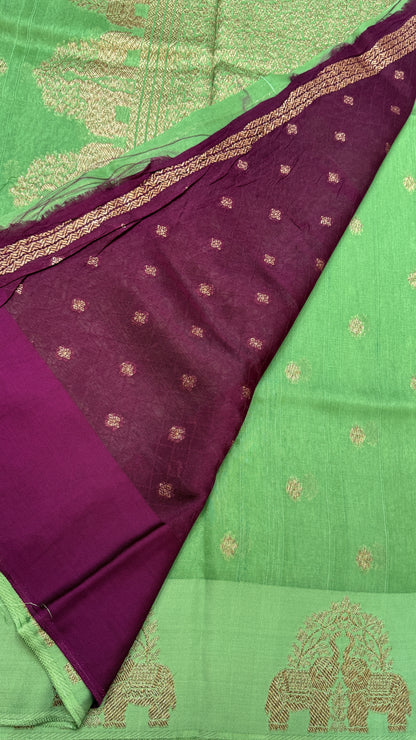 Tussar Georgette Saree with Motifs Embellished Border