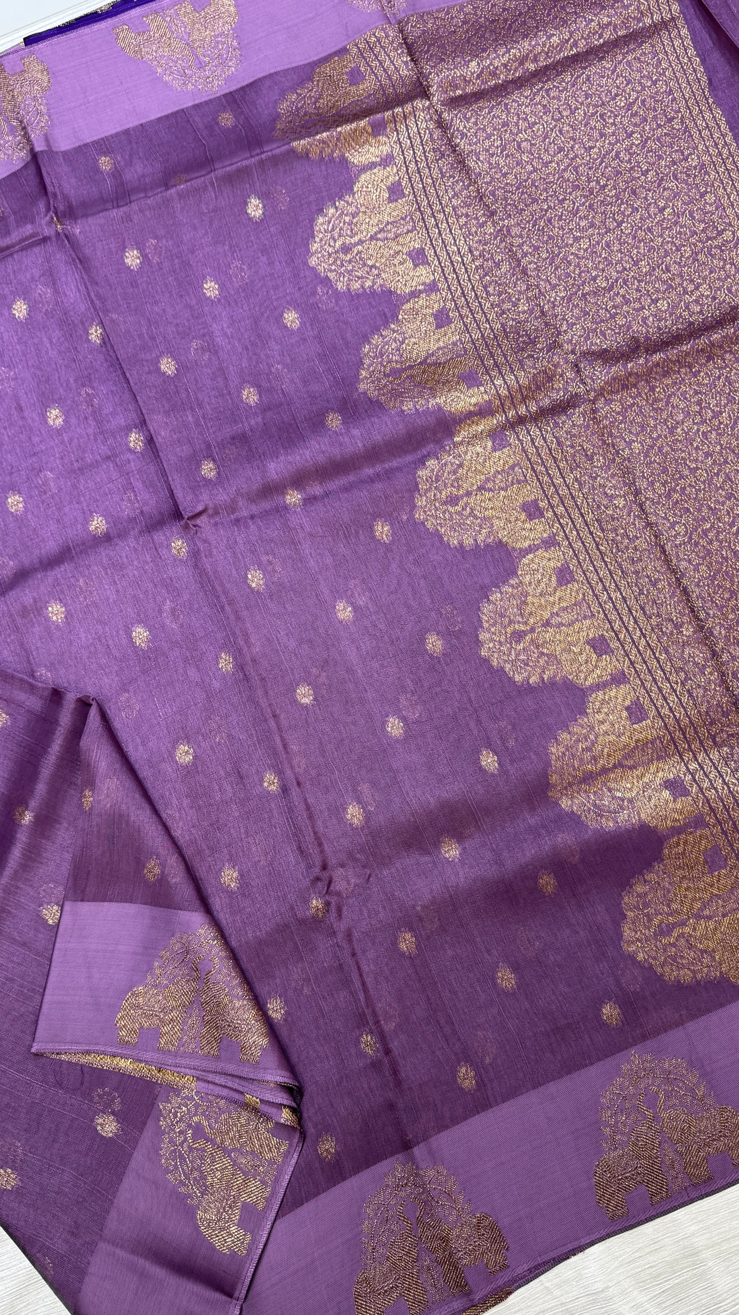 Tussar Georgette Saree with Motifs Embellished Border