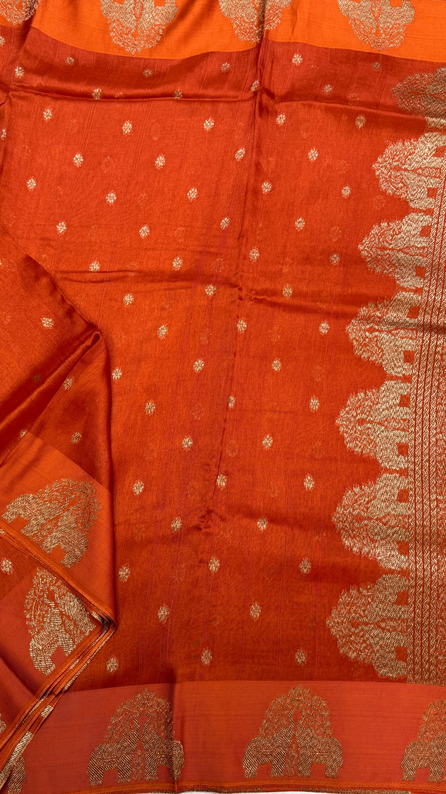 Tussar Georgette Saree with Motifs Embellished Border
