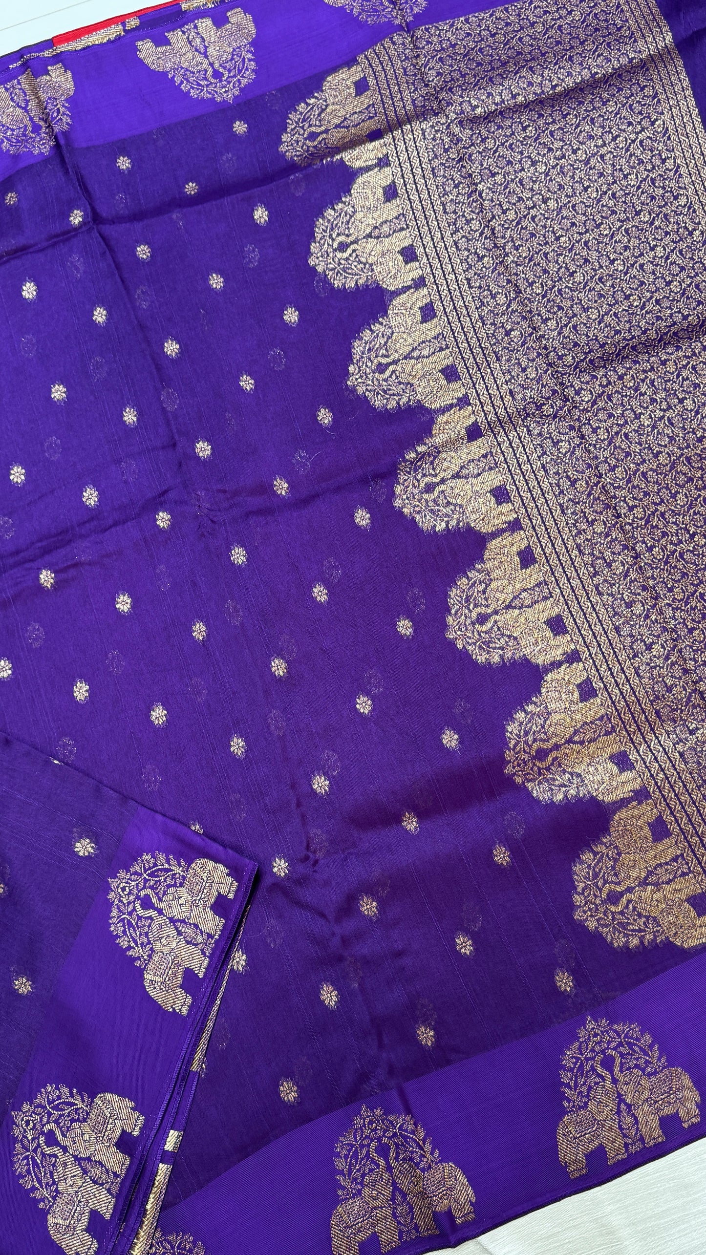 Tussar Georgette Saree with Motifs Embellished Border