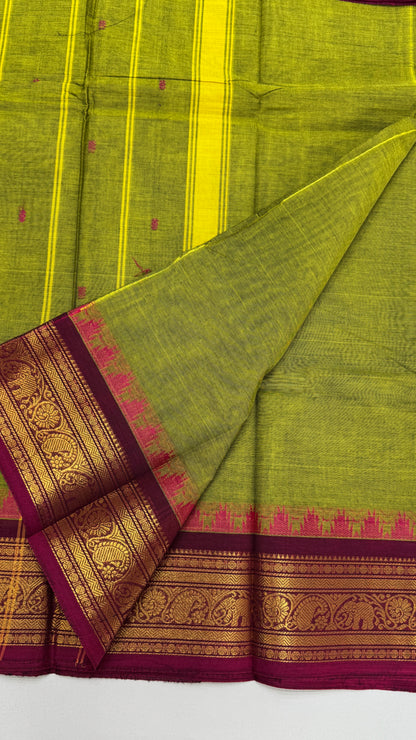 Chettinad Cotton Saree