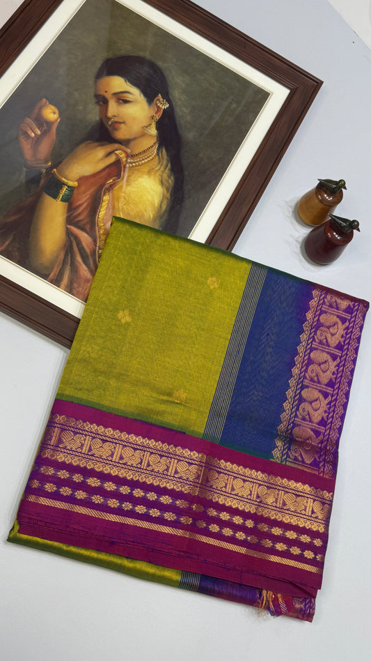 Buttas Pure Silk Cotton Saree