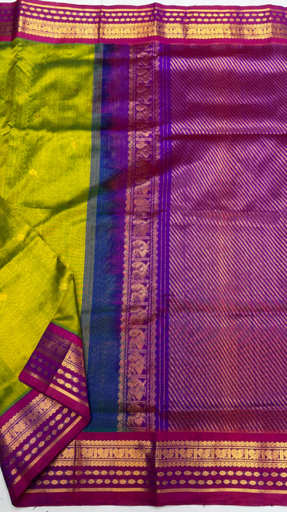Buttas Pure Silk Cotton Saree