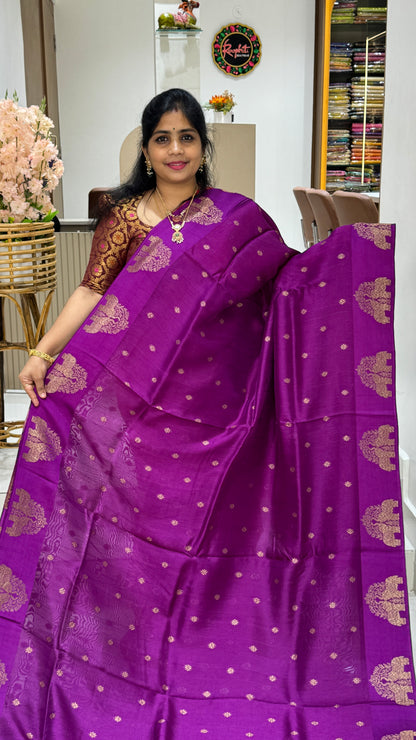 Tussar Georgette Saree with Motifs Embellished Border