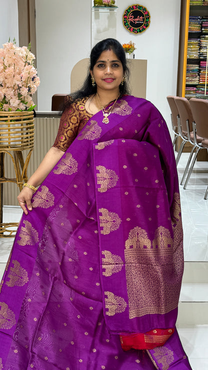 Tussar Georgette Saree with Motifs Embellished Border