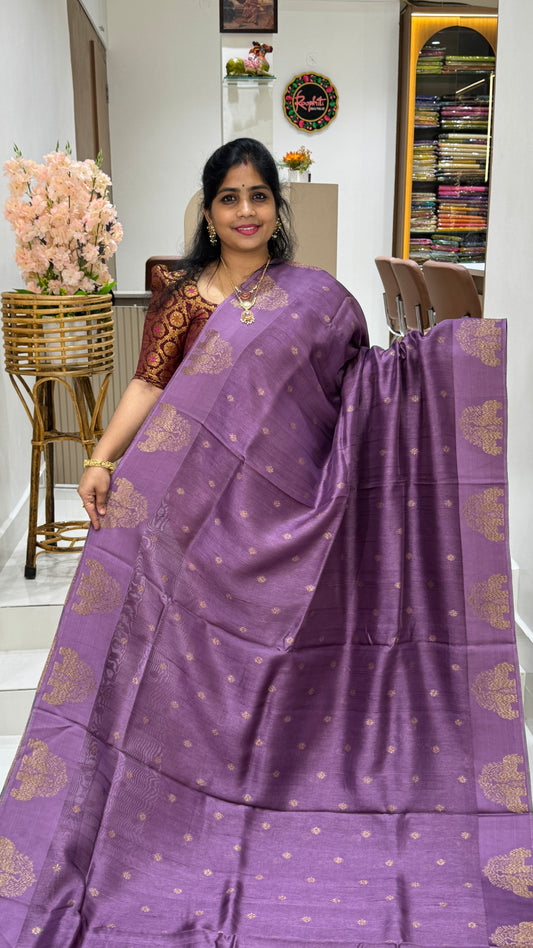 Tussar Georgette Saree with Motifs Embellished Border