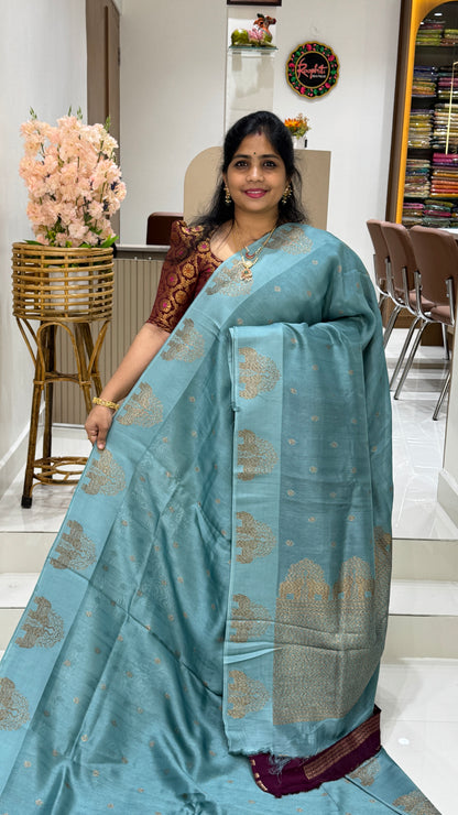 Tussar Georgette Saree with Motifs Embellished Border