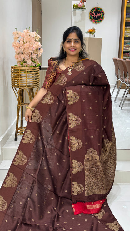Tussar Georgette Saree with Motifs Embellished Border