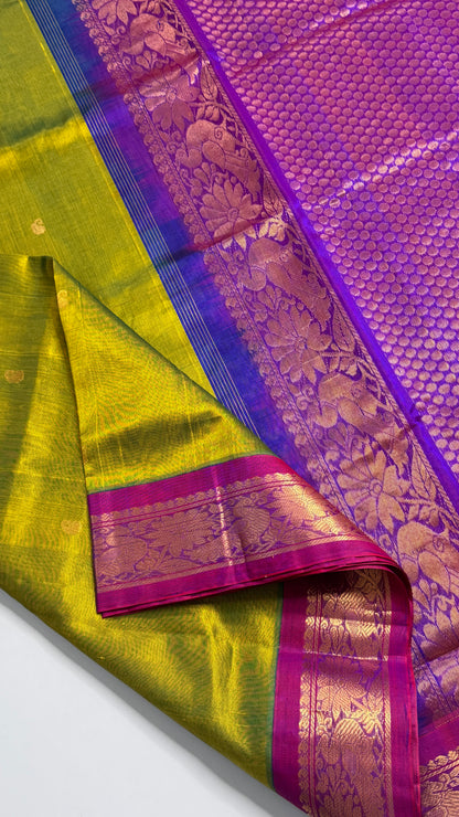 Buttas Pure Silk Cotton Saree with Korvai Borders
