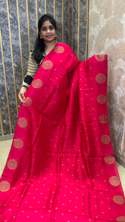 Tussar Georgette Saree with Motifs Border