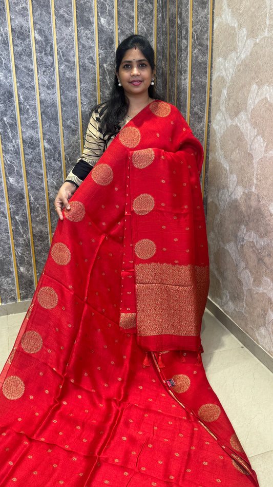 Tussar Georgette Saree with Motifs Border