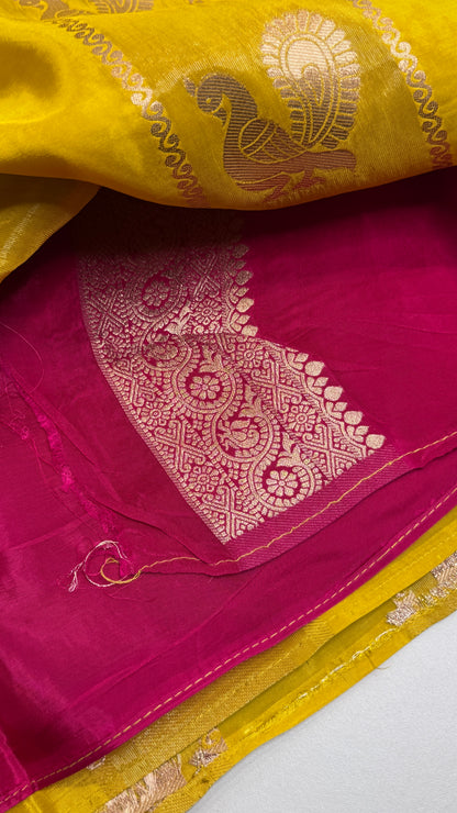 Panel Work Fusion Saree