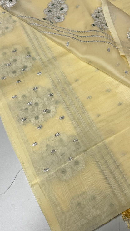 Tissue Organza Embroidery Saree