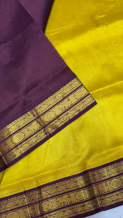 Buttas Pure Silk Cotton Saree