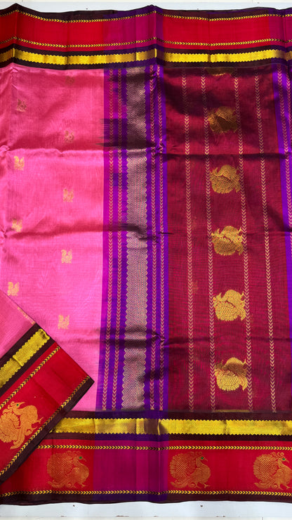 Pure Silk Cotton Saree with Korvai Border