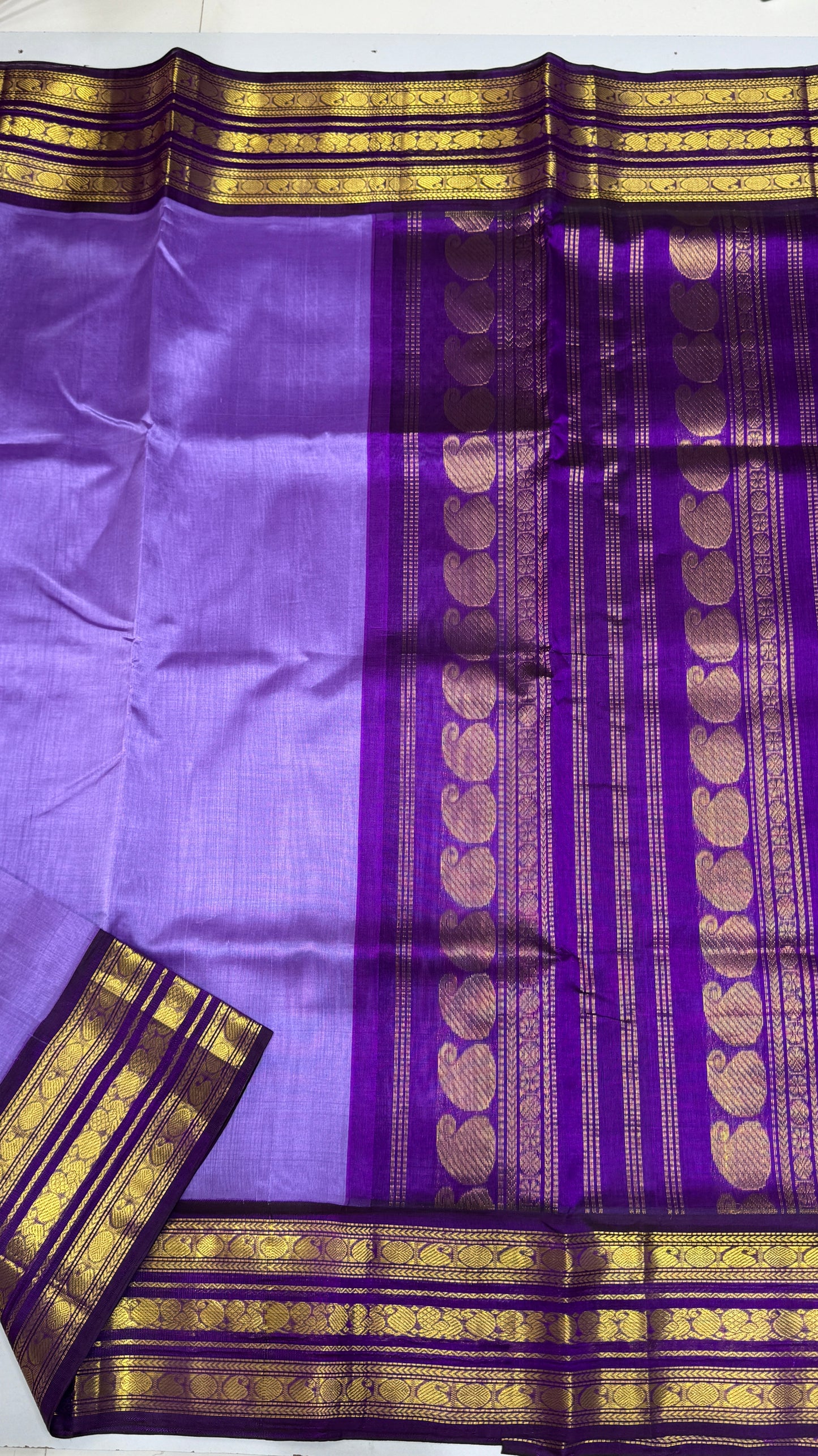Plain Pure Silk Cotton Saree with Korvai Border