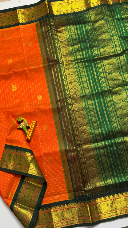 Zari Checks Pure Silk Cotton Saree with Korvai Borders
