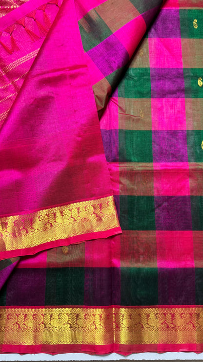 Palum Pazhamum Pure Silk Cotton Saree