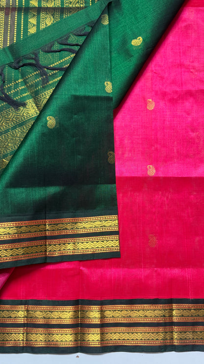 Buttas Pure Silk Cotton Saree