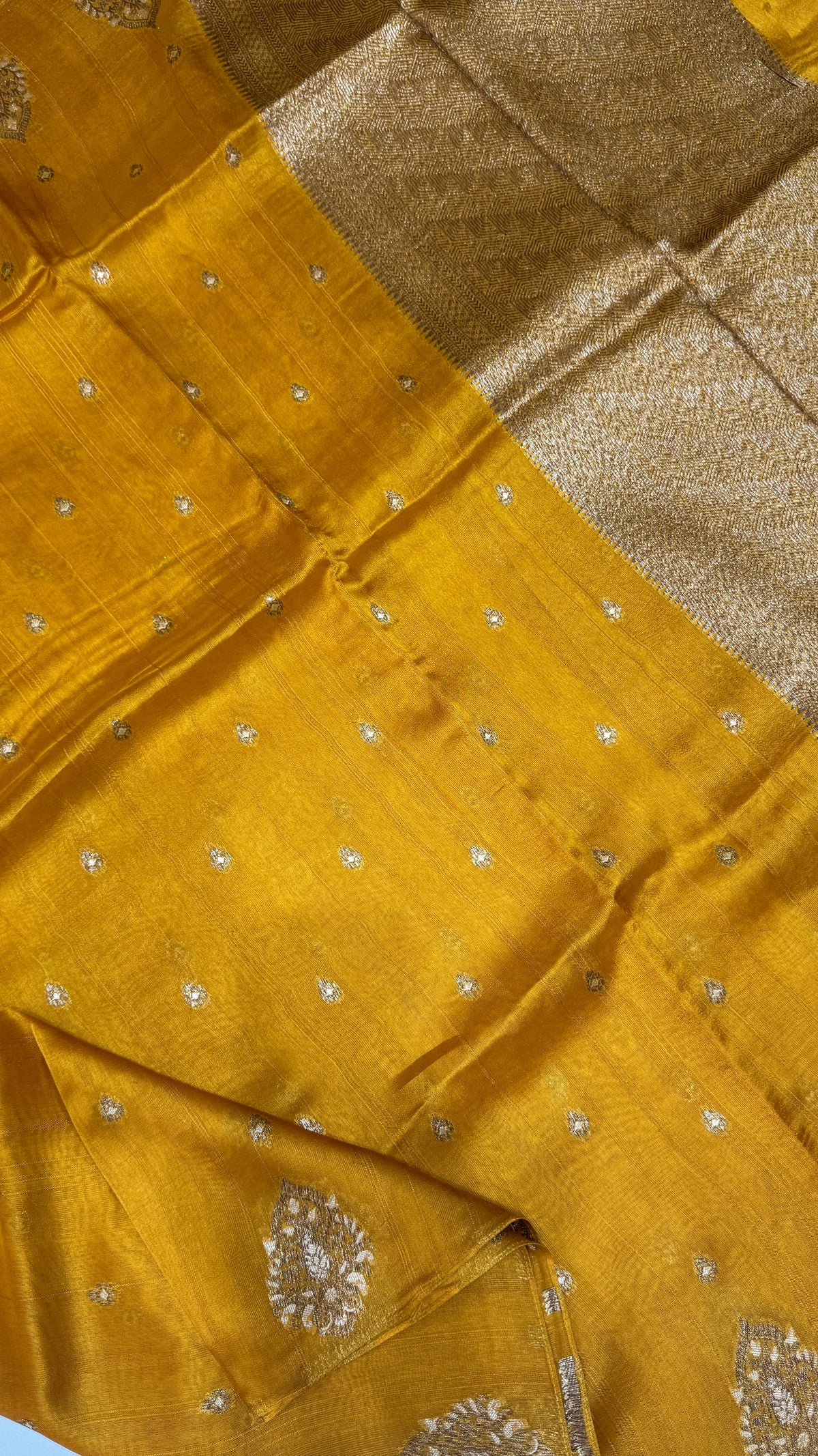 Tussar Georgette Saree with Motifs Embellished Border