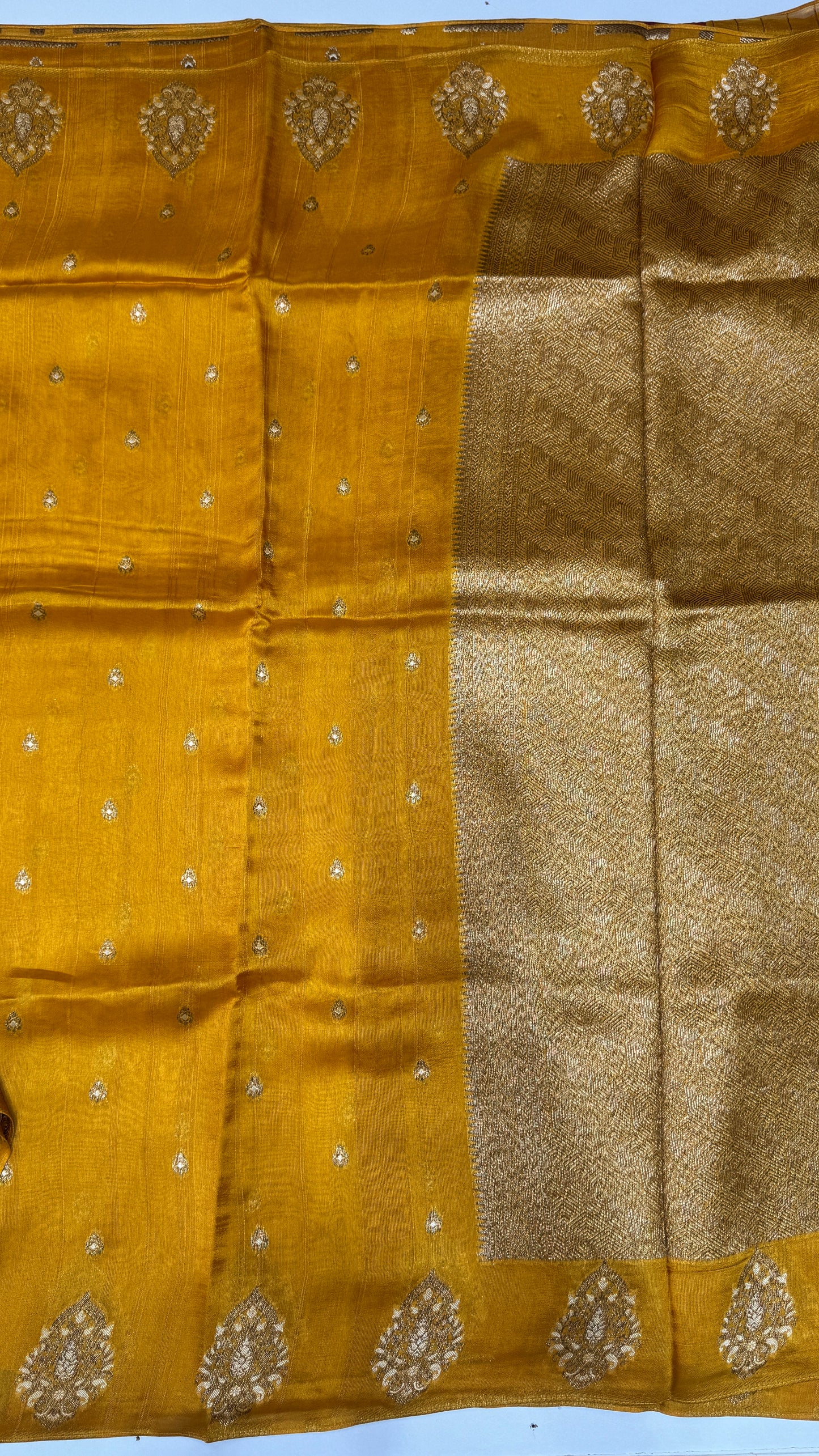 Tussar Georgette Saree with Motifs Embellished Border