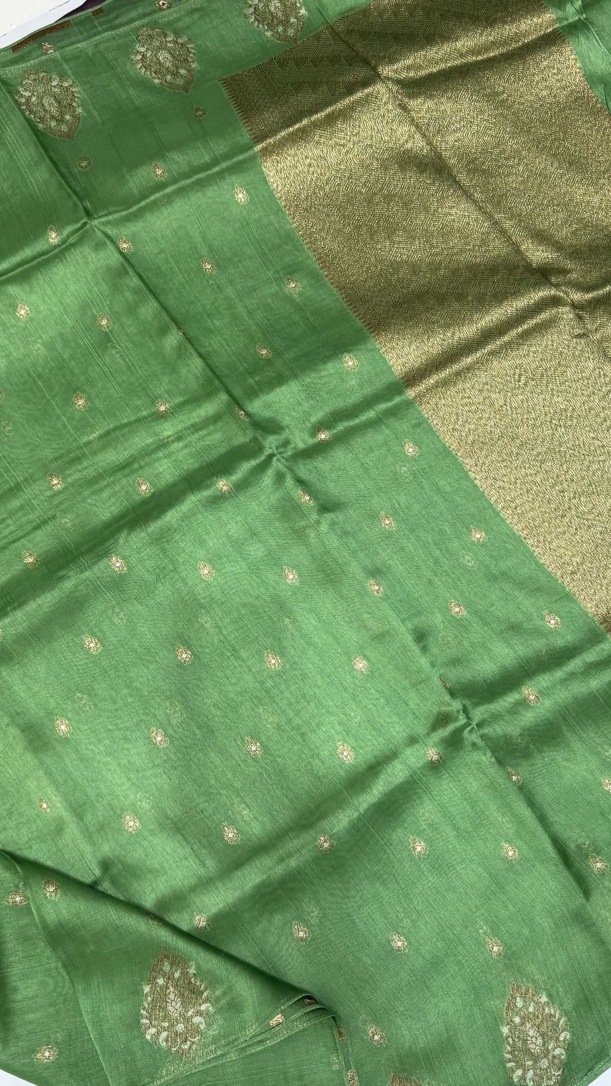 Tussar Georgette Saree with Motifs Embellished Border